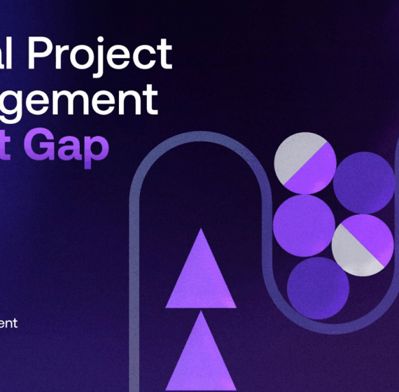 (PMP) Project Management Professional